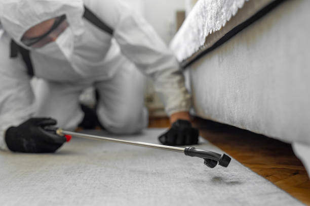 Professional Termite Control technician working in Hanover, OH