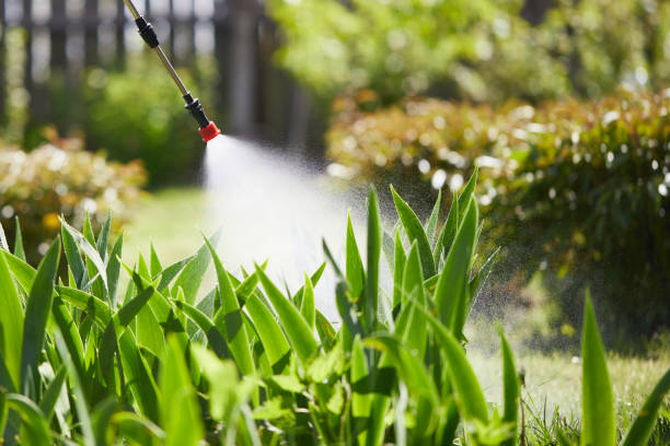24/7 Emergency Termite Control experts in Hanover, OH