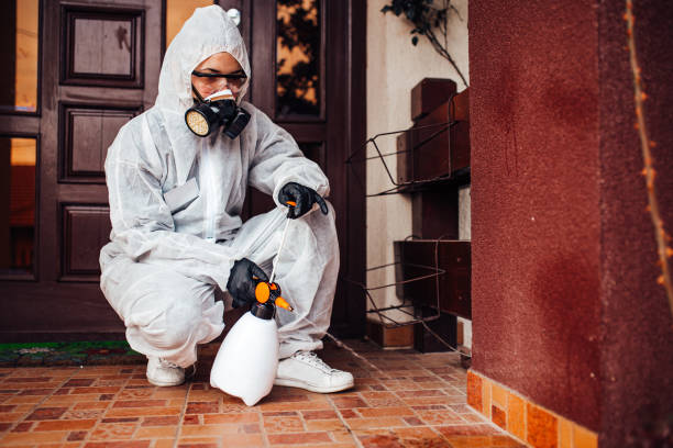 Reliable Termite Control contractor in Hanover, OH by Nex Pest Control