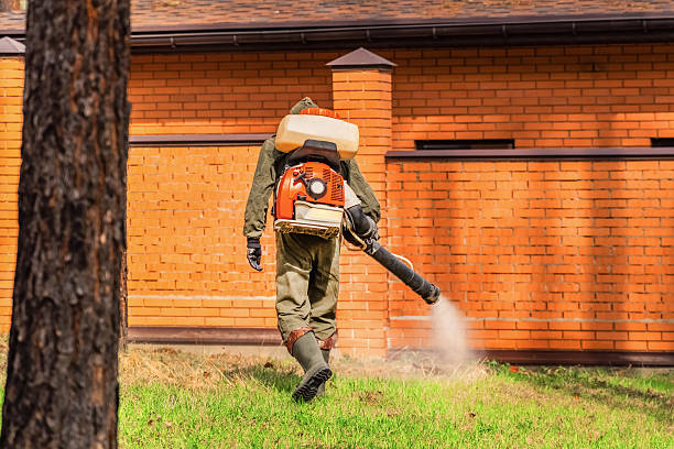 Top rated local Termite Control specialists in Hanover, OH